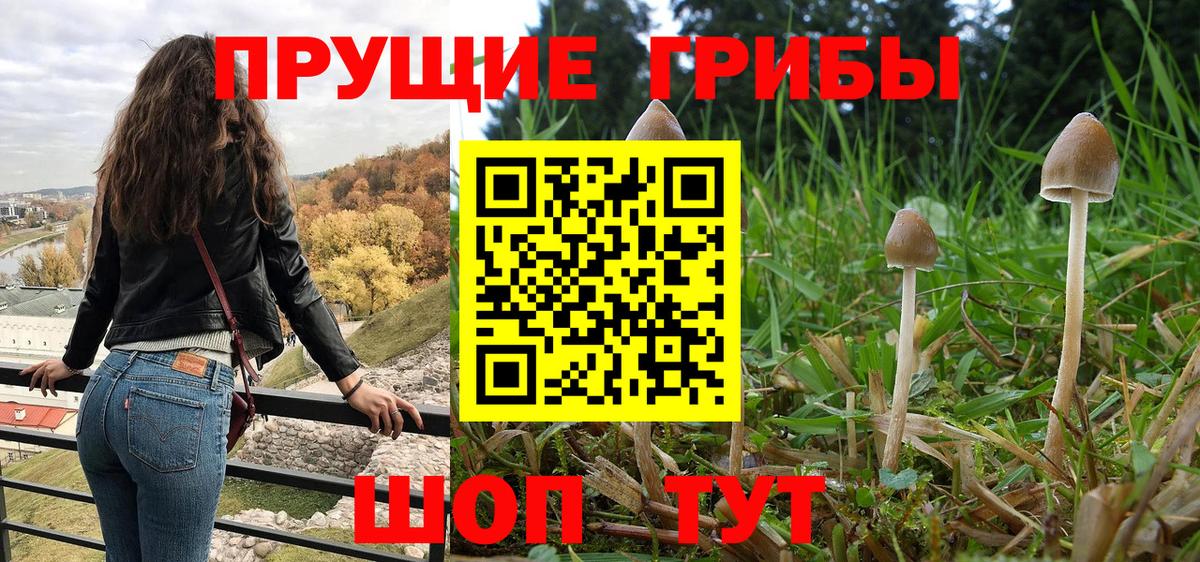 Галлюциногенные грибы мухоморы  Вход с VPN  купить наркоту  Ржев 